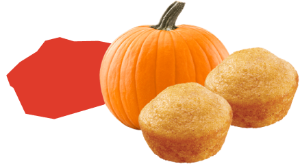 Little Bites Pumpkin Muffins