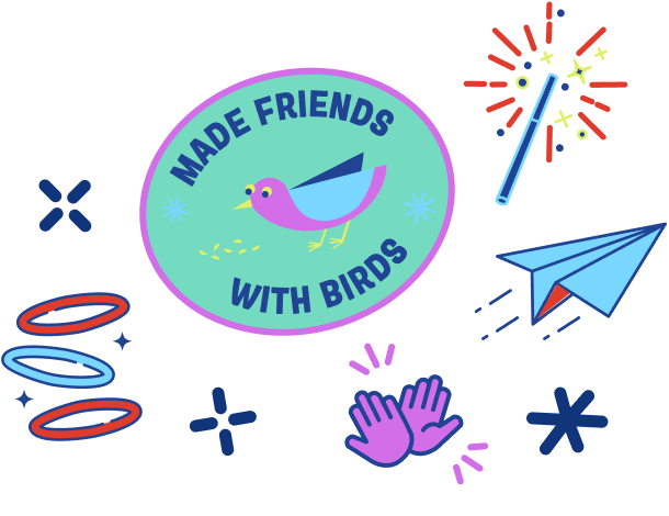 Made friends with birds