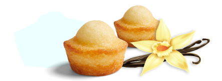 Two Little Bites Vanilla Muffins with a vanilla flower.